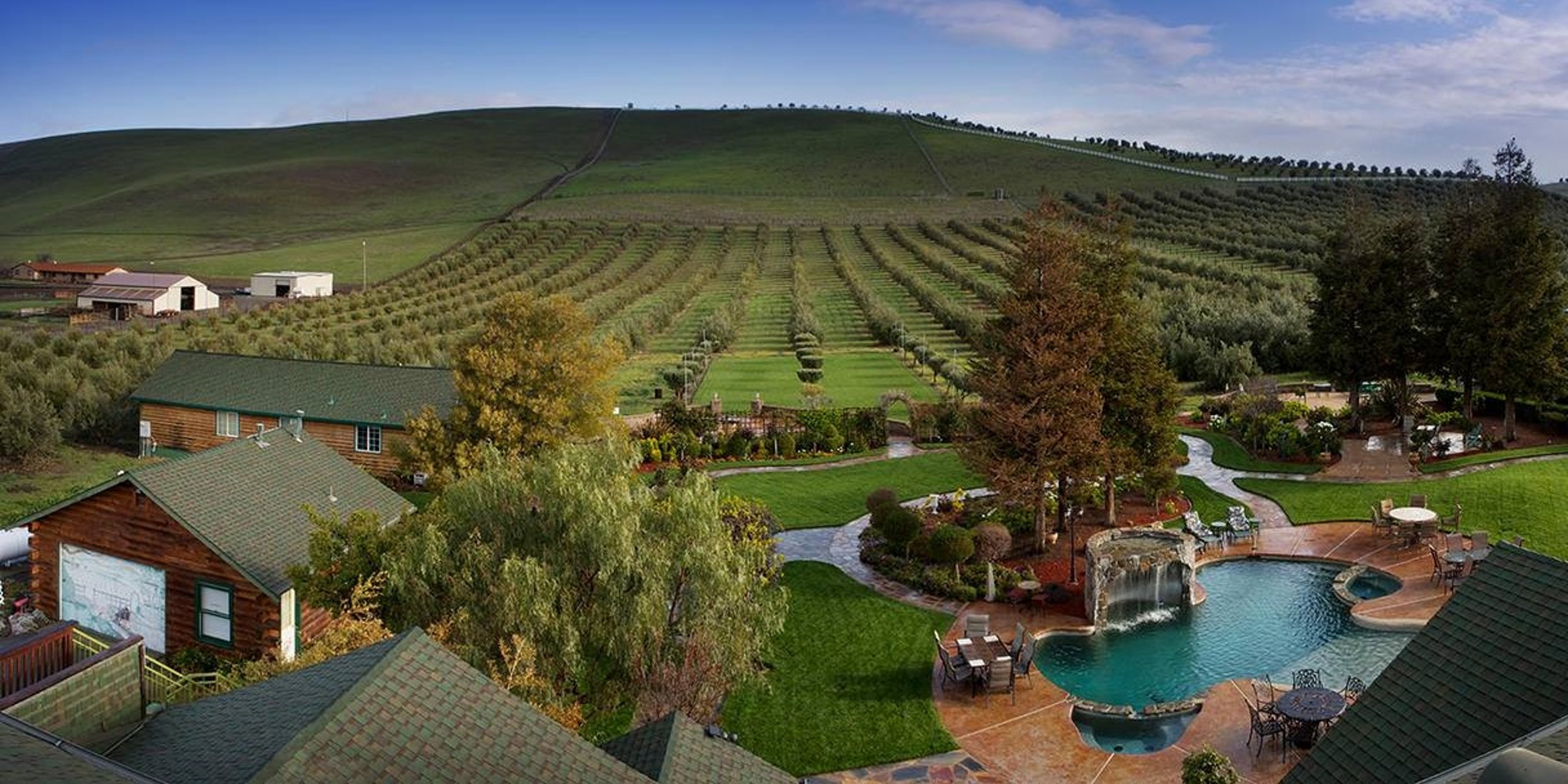 Image for Purple Orchid