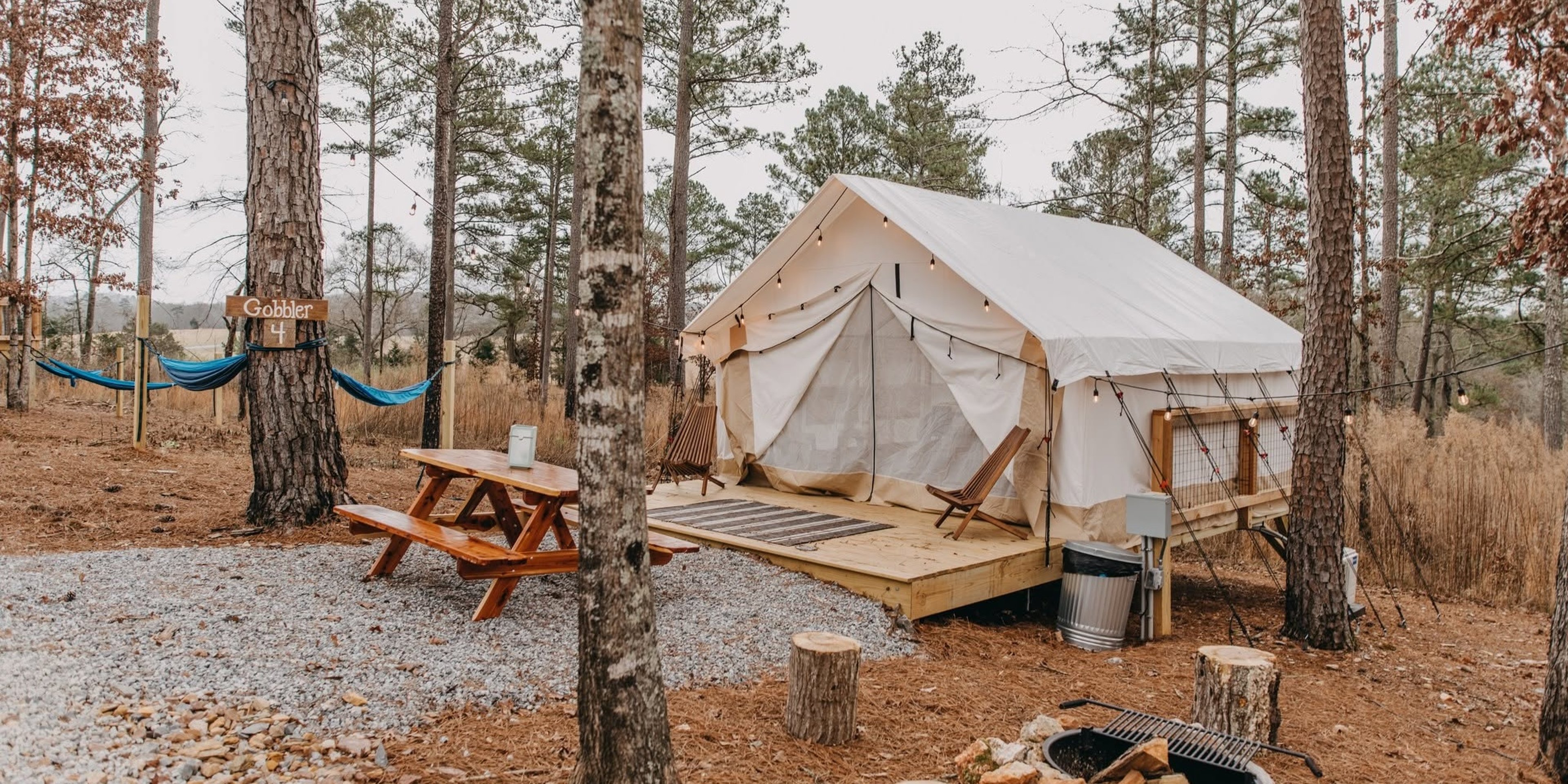 Image for Timberline Glamping Company