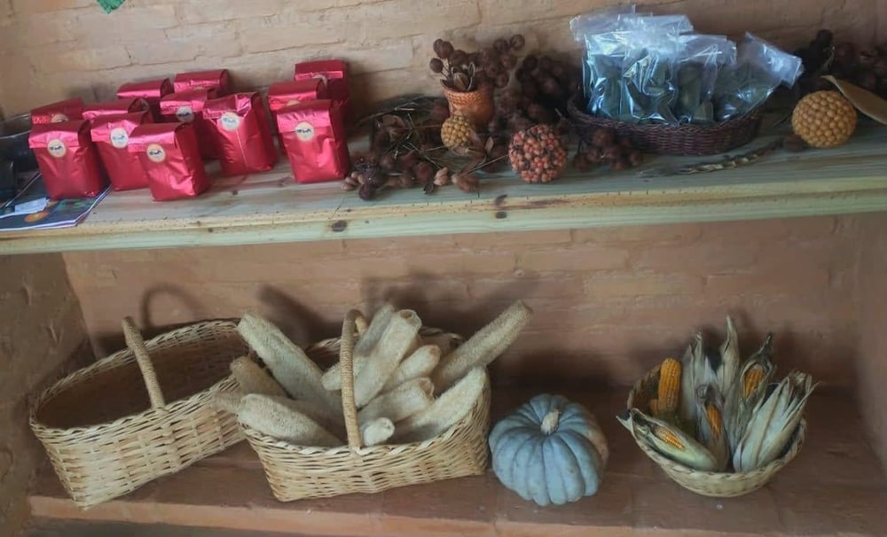 AGROFLORESTA MONALISA: DA COLHEITA DO CAFÉ AO CAFÉ DA MANHÃ, VIVÊNCIA AUTÊNTICA 