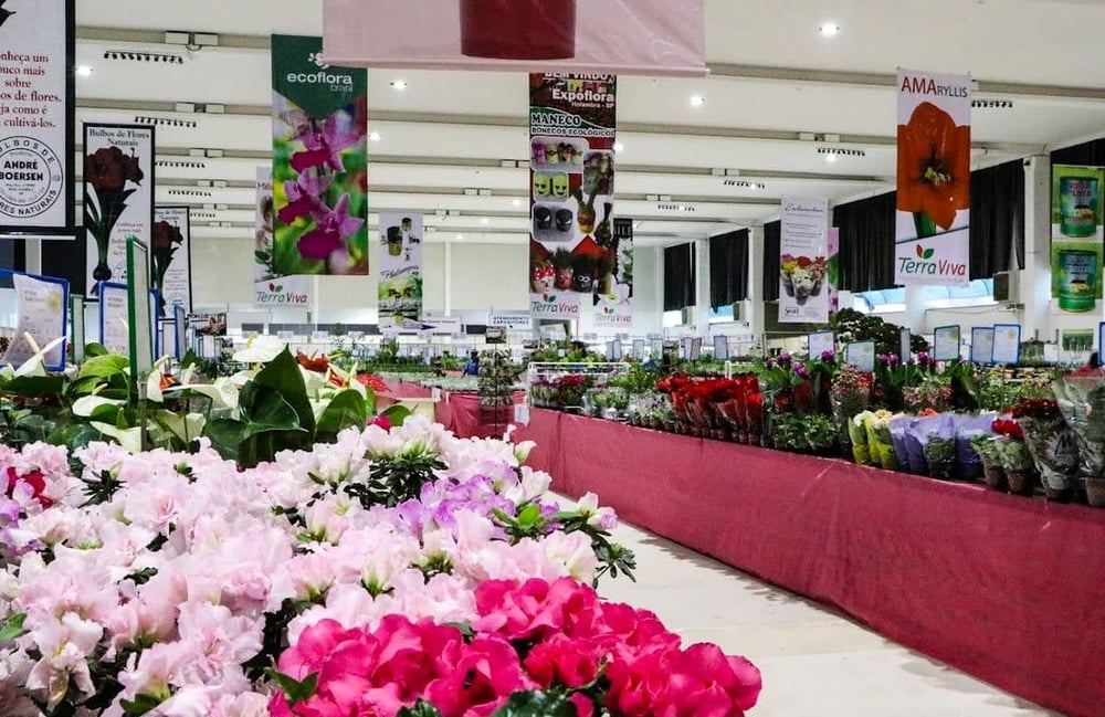 Pacote Amor Perfeito Expoflora