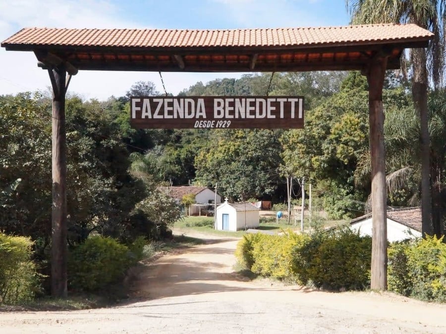CAIXOTE DE PIQUENIQUE DA FAZENDA BENEDETTI PARA FAMÍLIA