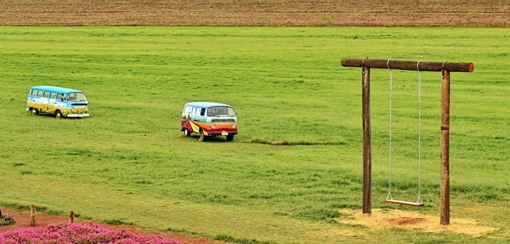 FANTÁSTICO PASSEIO A UMA AUTÊNTICA FAZENDA DE FLORES E PLANTAS 