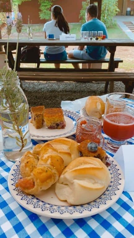 COLHEITA DE FRUTAS VERMELHAS COM DELICIOSO CAFÉ DA MANHÃ NA CHÁCARA CATAVENTO
