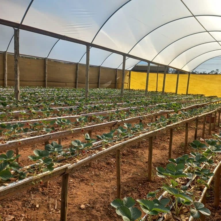 SÍTIO TOUR SEM ALMOÇO