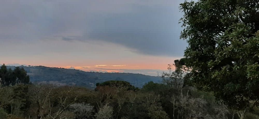 CAFÉ DA TARDE E TRILHA CACHOEIRA ENCANTADA