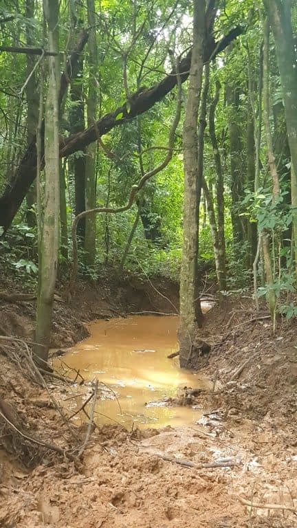 Corredor Ecológico "José Tavares de Souza"