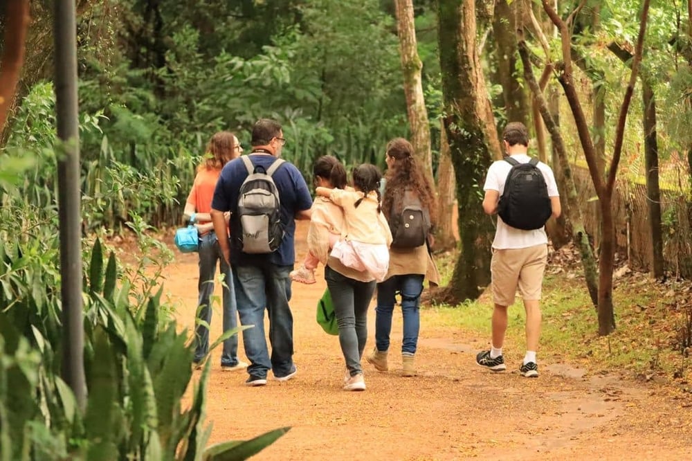 OBSERVAÇÃO DE AVES NO PARQUE HERMÓGENES FREITAS LEITÃO FILHO - BARÃO GERALDO