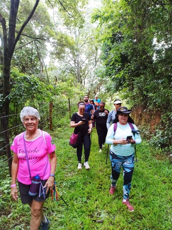 Trecho da Mata em plena Regeneração (35 anos)  