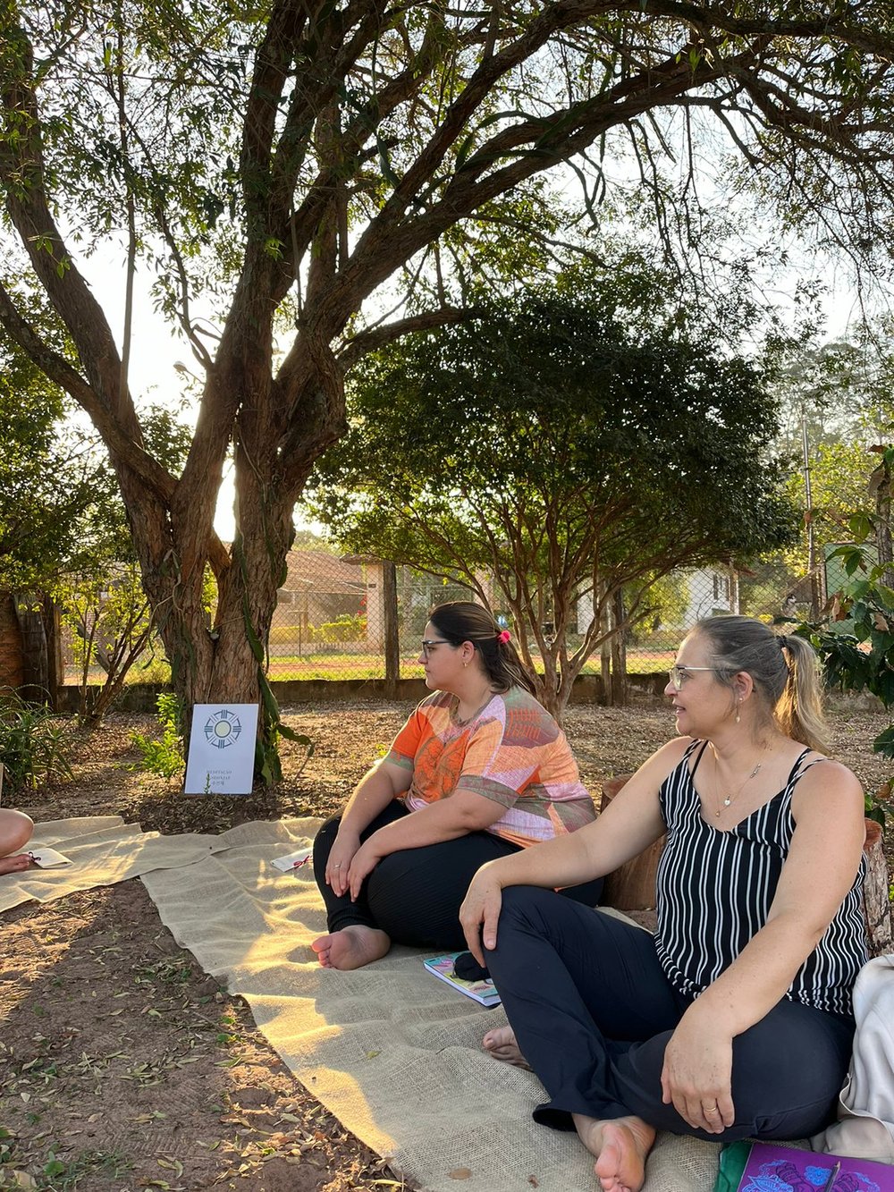 Meditações para grupos e turmas (experiência personalizada)