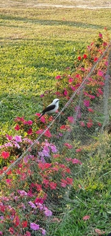 DEGUSTAÇÃO ORIENTADA DE PIMENTAS E GELÉIAS NO SÍTIO JOELJER