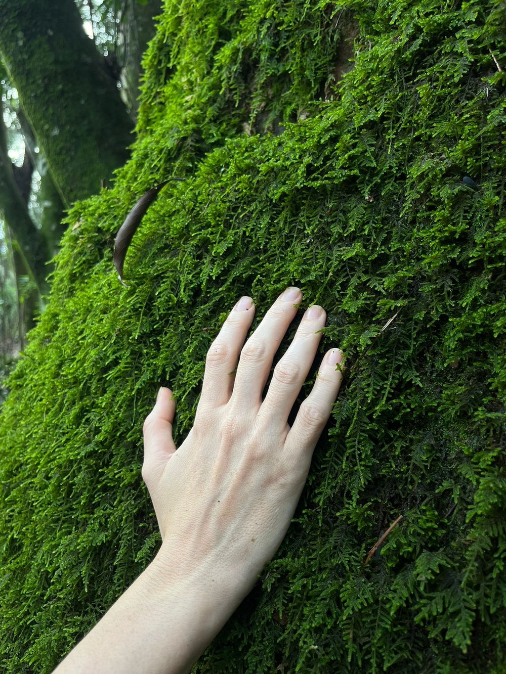 Experiência sensorial com a natureza