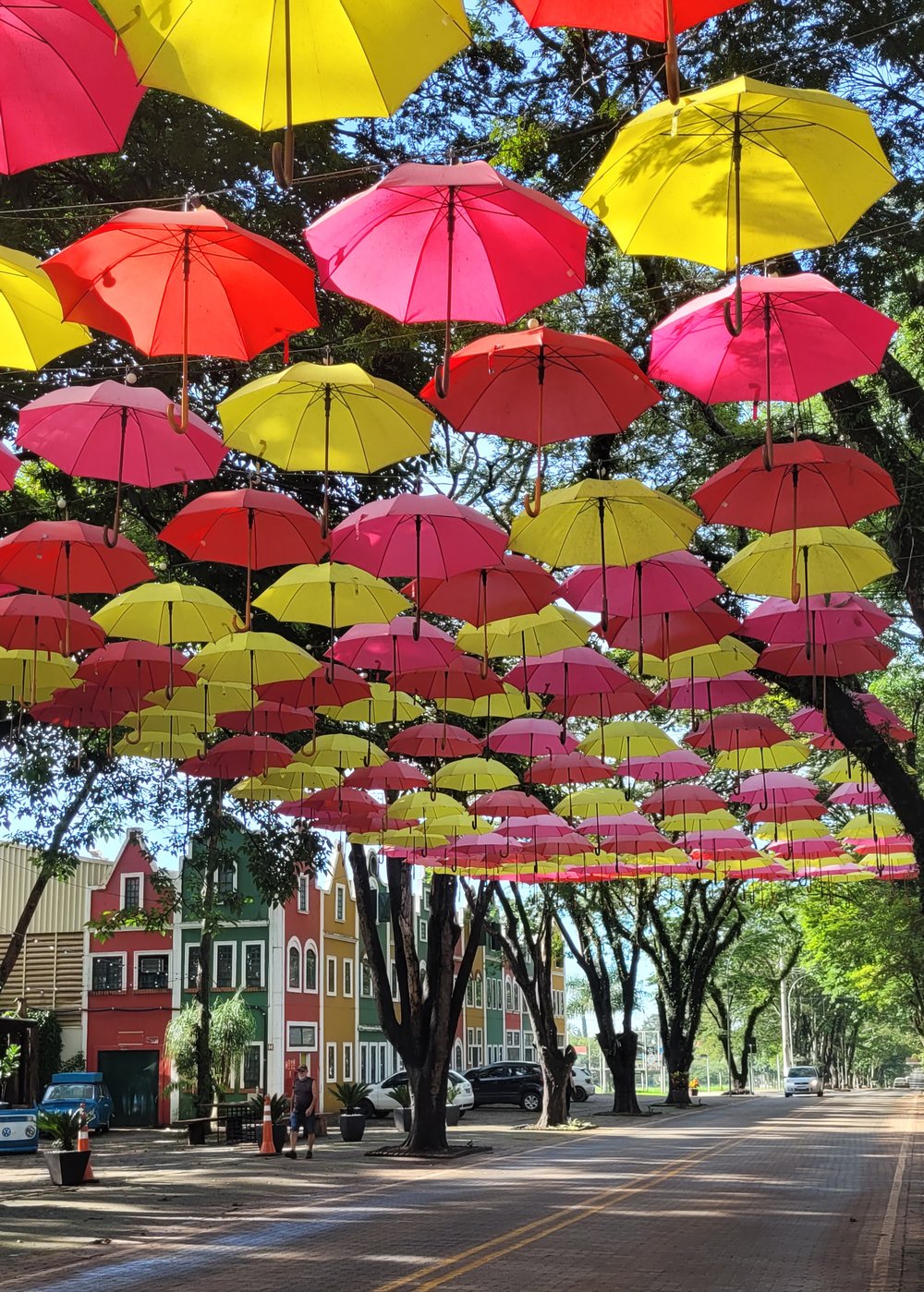 EXPERIÊNCIA HOLANDESA - PASSEIO COMPLETO POR HOLAMBRA 