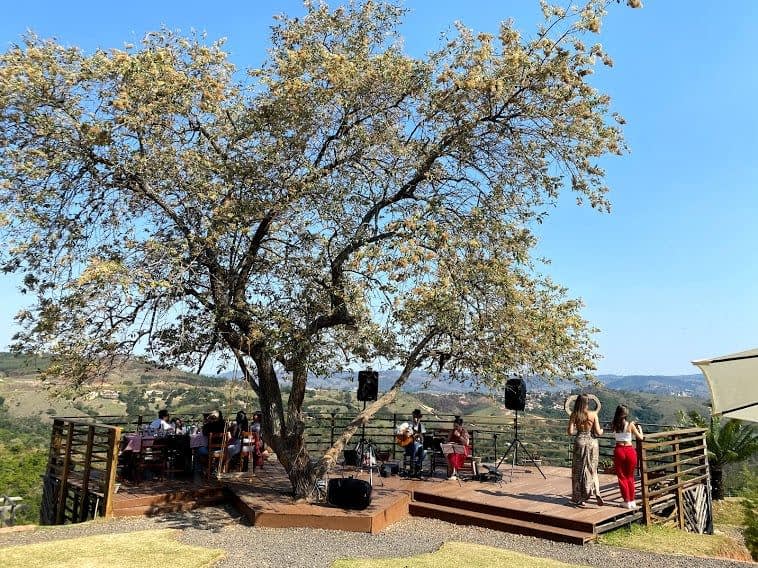 VINÍCOLA TERRASSOS - ACESSO E DEGUSTAÇÃO DE VINHOS