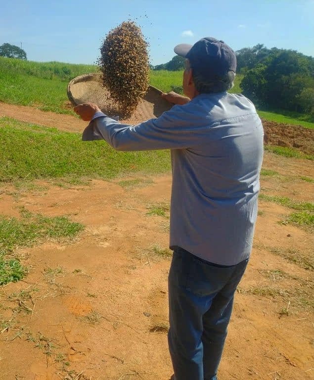 AGROFLORESTA MONALISA: DA COLHEITA DO CAFÉ AO CAFÉ DA MANHÃ, VIVÊNCIA AUTÊNTICA 