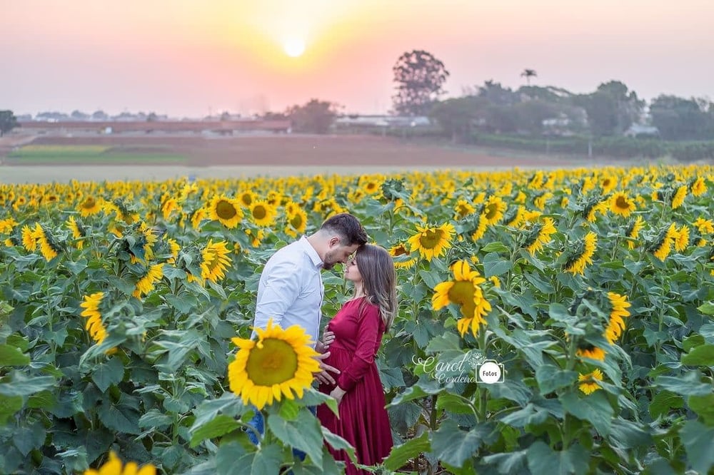 LOCAÇÃO DE CENÁRIO FOTOGRÁFICO EM UMA FAZENDA DE FLORES