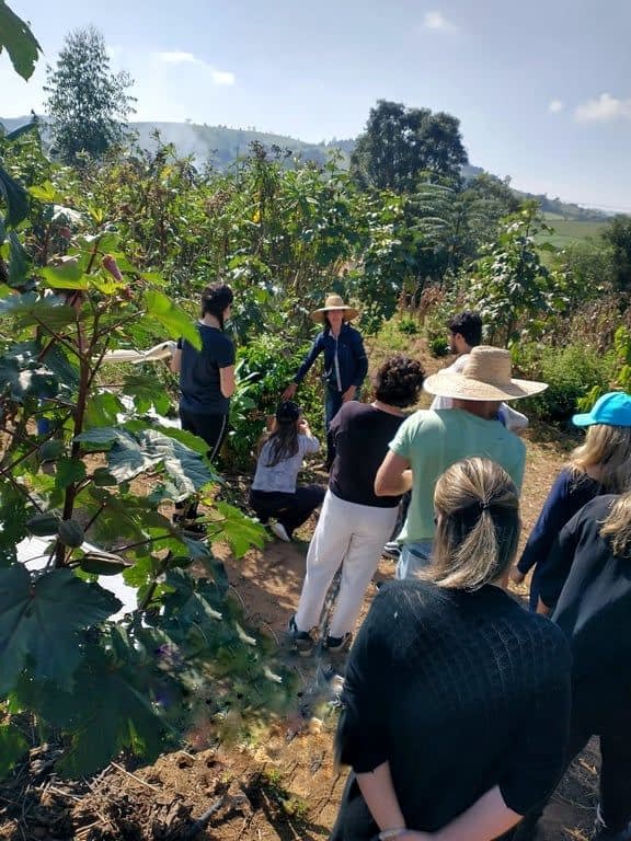 AGROFLORESTA MONALISA: DA COLHEITA DO CAFÉ AO CAFÉ DA MANHÃ, VIVÊNCIA AUTÊNTICA 