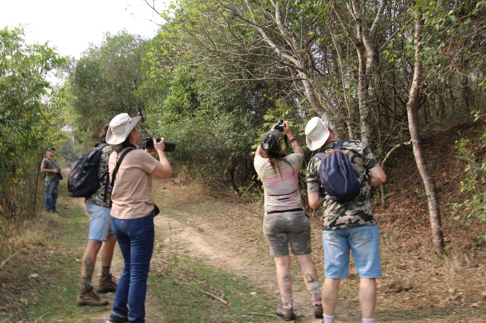 observadores 
