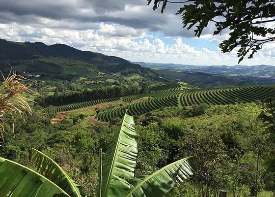 COFFEE TOUR COM ESPECIALISTAS + DEGUSTAÇÃO