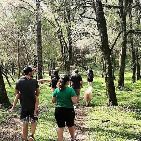 CAFÉ DA TARDE E TRILHA CACHOEIRA ENCANTADA