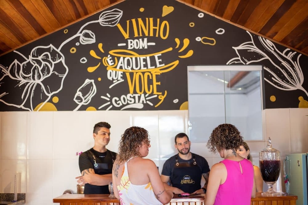 VINDIMA NA VINÍCOLA CARMELA