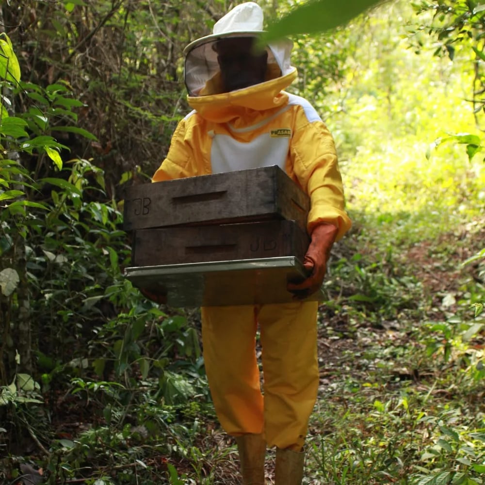 Apicultor responsável