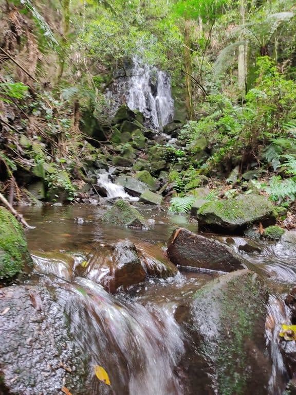 CAFÉ DA TARDE E TRILHA CACHOEIRA ENCANTADA