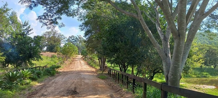 CAMINHADA GOURMET: DO ALAMBIQUE À FAZENDA