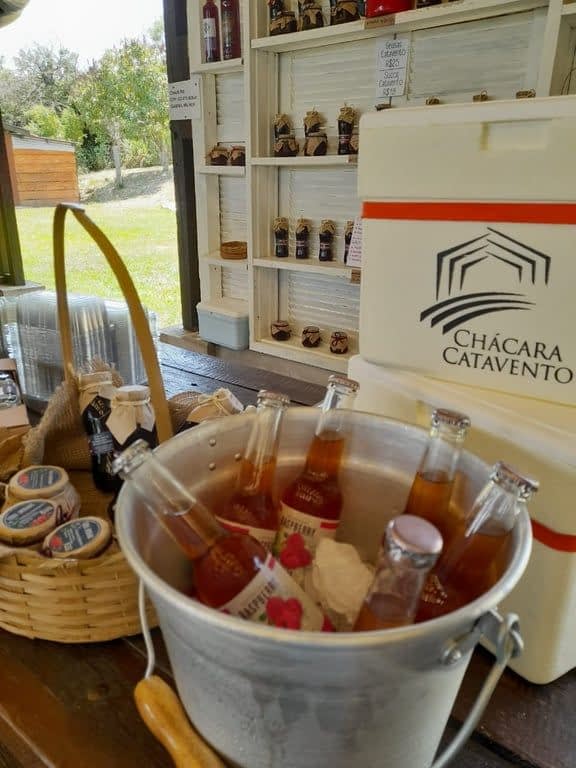 COLHEITA DE FRUTAS VERMELHAS COM DELICIOSO CAFÉ DA MANHÃ NA CHÁCARA CATAVENTO