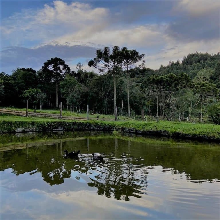 CAFÉ DA TARDE E TRILHA CACHOEIRA ENCANTADA