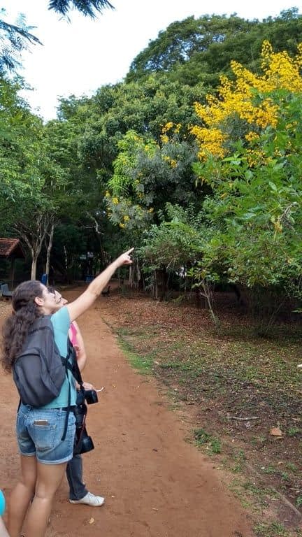 OBSERVAÇÃO DE AVES NO PARQUE ECOLÓGICO MONSENHOR SALIM