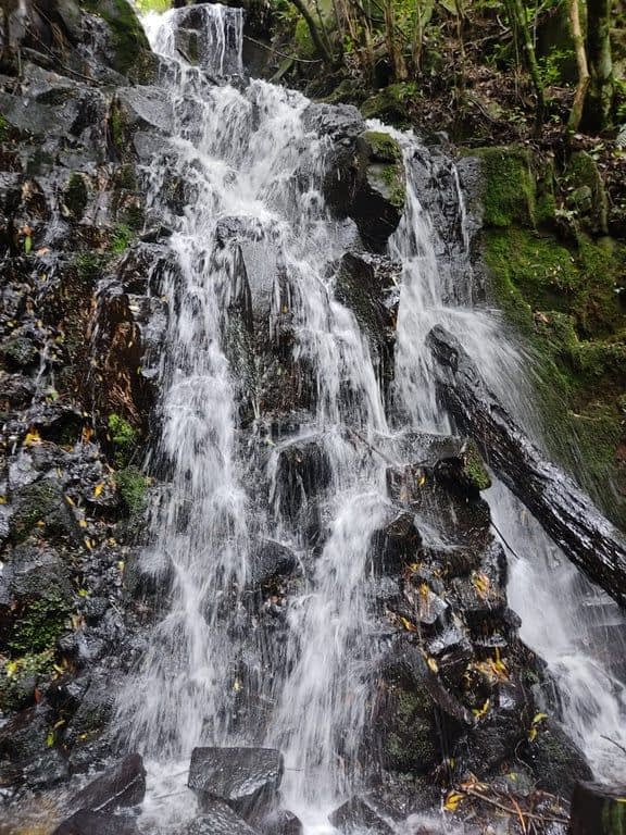 CAFÉ DA TARDE E TRILHA CACHOEIRA ENCANTADA