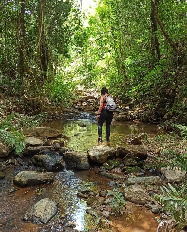 CAMINHANDO NAS ÁGUAS DA TRILHA DA CACHOEIRA