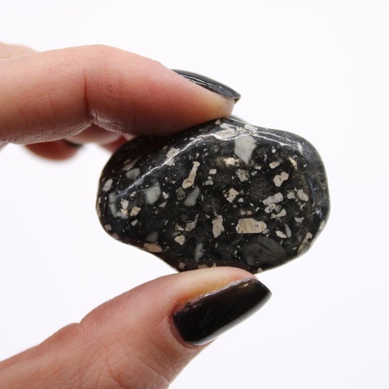 African Tumble Stones - Natural Guinea Fowl Medium Specimens for Collectors