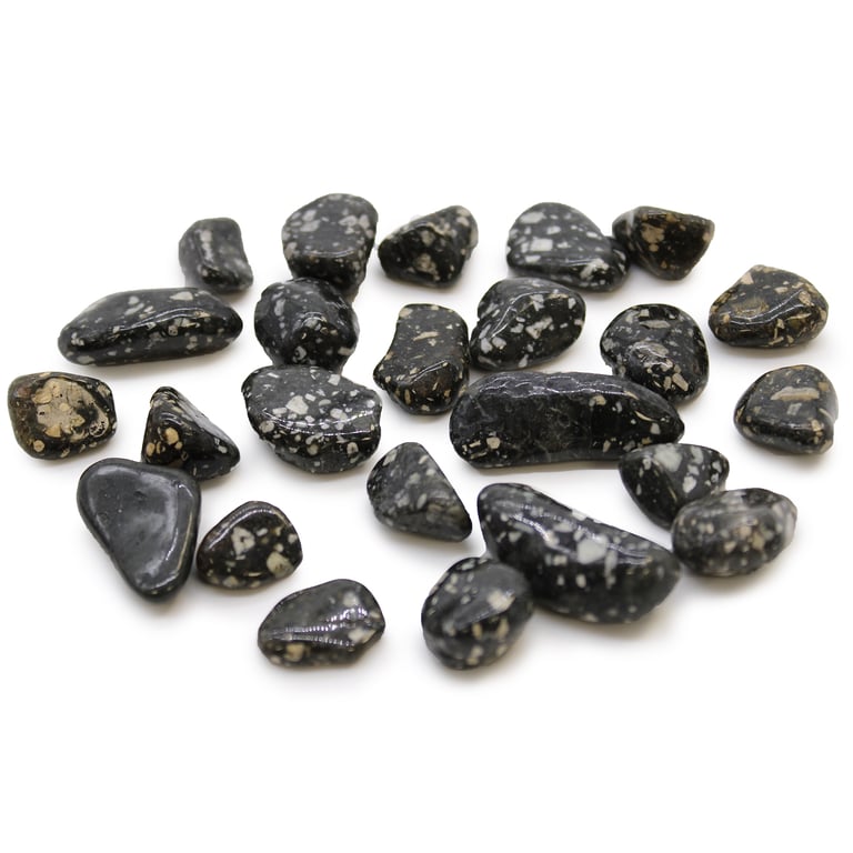 Small African Natural Guinea Fowl Tumble Stones - Home Decor Accent Pieces