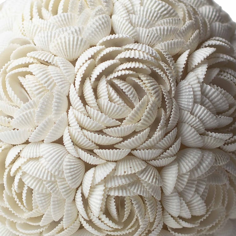 20cm Boho Sea Shell Lamp (Rose Globe) - Decorative Lighting