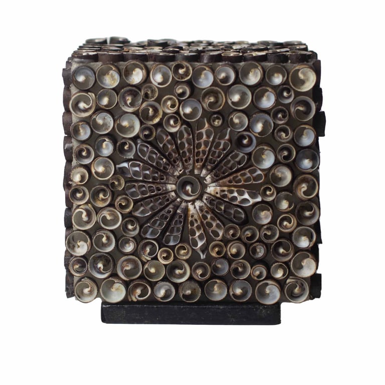 Square Boho Sea Shell Lamp (15cm) - Chocolate Twist Design