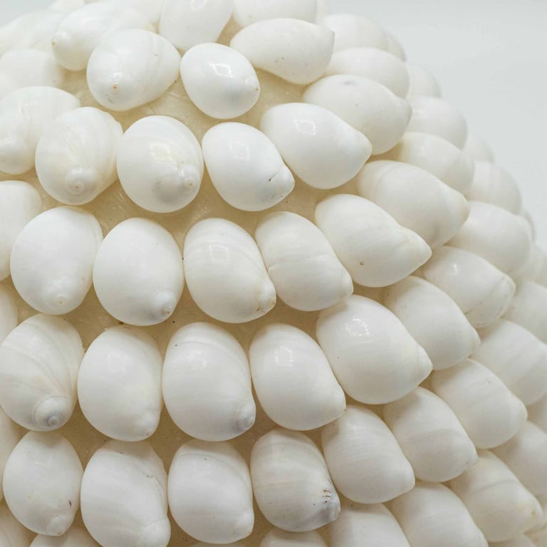 Bohemian Sea Shell Lamp (15cm) - Buting Oval Design