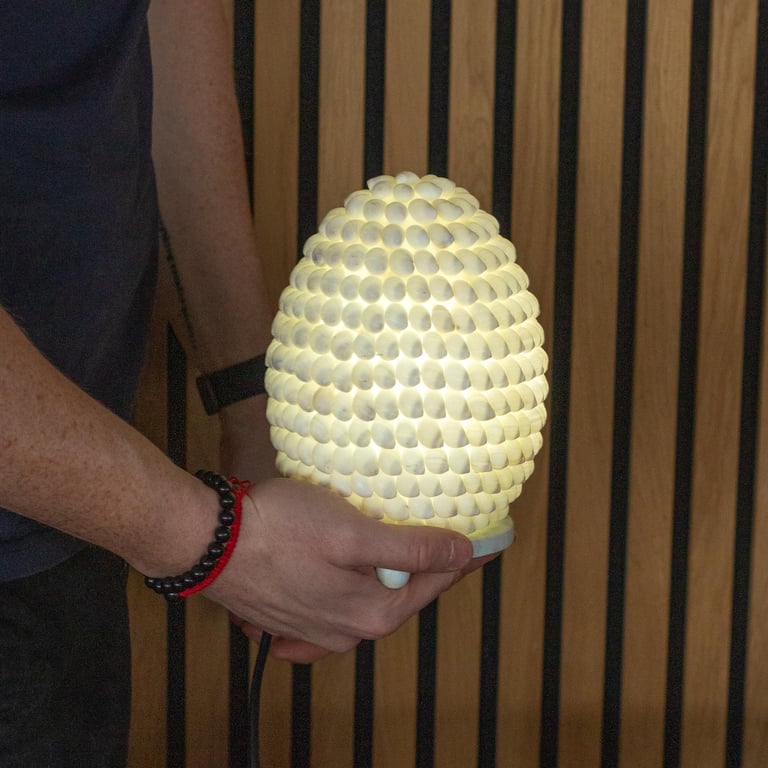 Bohemian Sea Shell Lamp (15cm) - Buting Oval Design