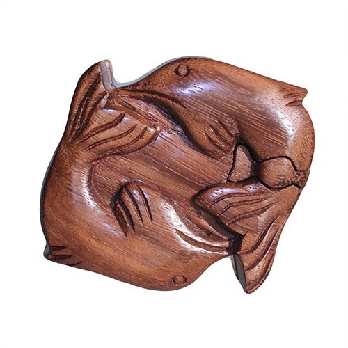 Bali Magic Box - Interactive Ocean Learning Toy for Kids with Dolphins
