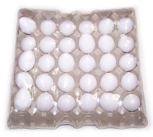 Coconut Bath Eggs Tray - Moisturizing & Relaxing