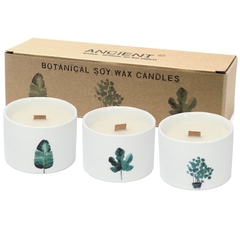 Natural Aroma Candle - Lemon Honeysuckle by Med Botanical