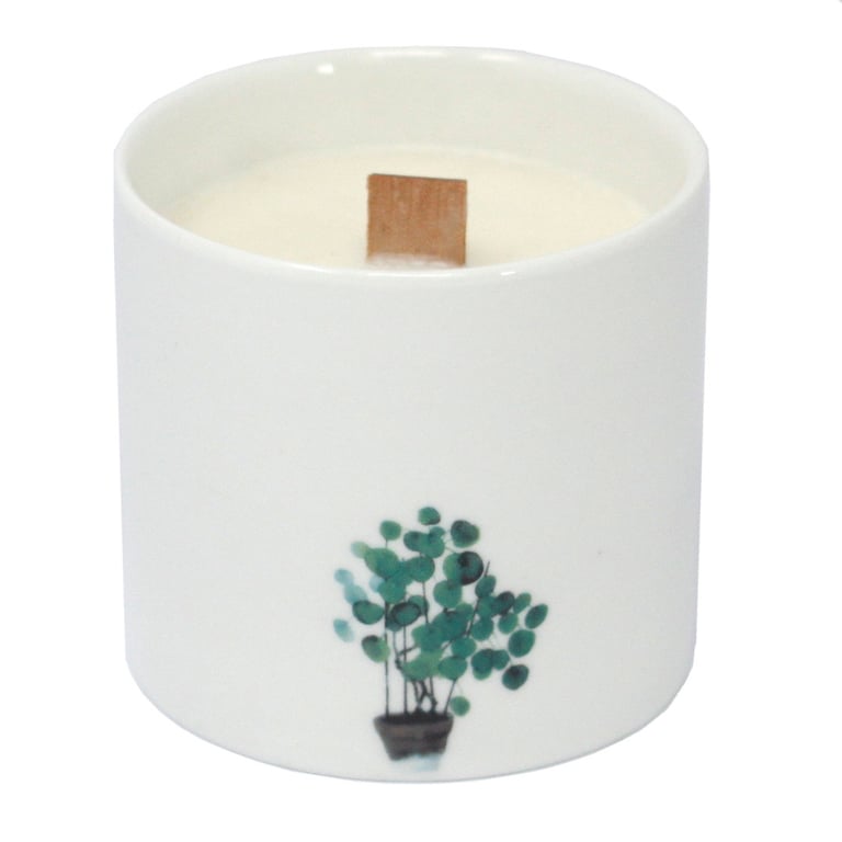 Large Botanical Candles (Wild Jasmine) - Luxury Scented Home Fragrance