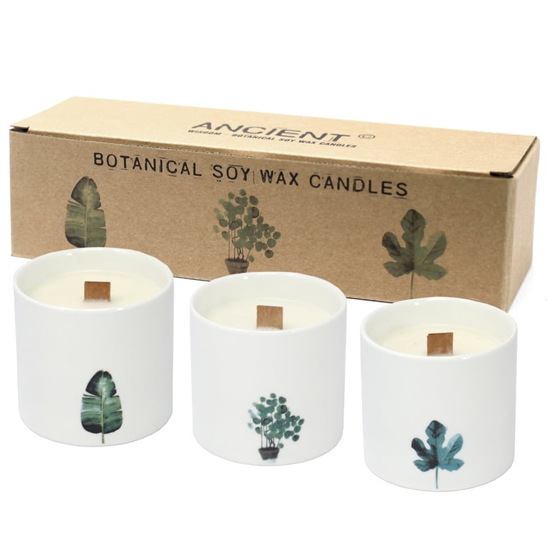 Large Botanical Candle - Marsh Viola Scent - Premium Quality