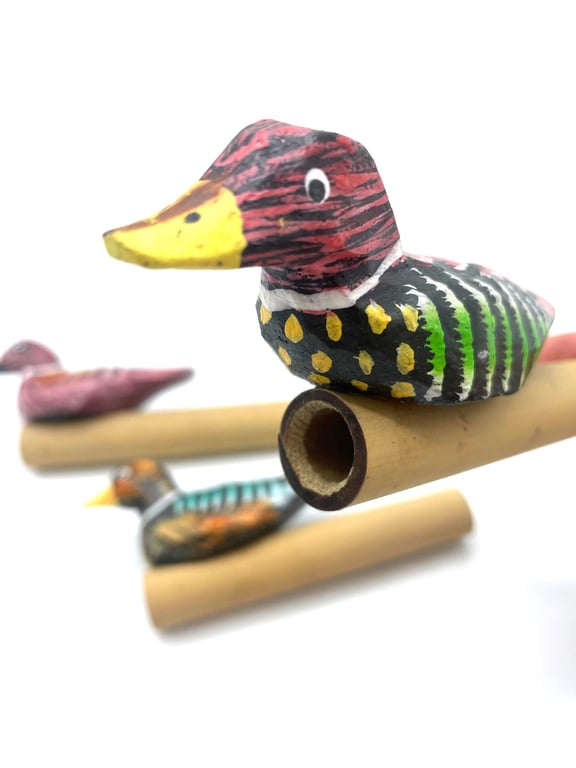 Duck Whistle - Pet Toy for Outdoor Entertainment and Bird Whistles Sound Maker