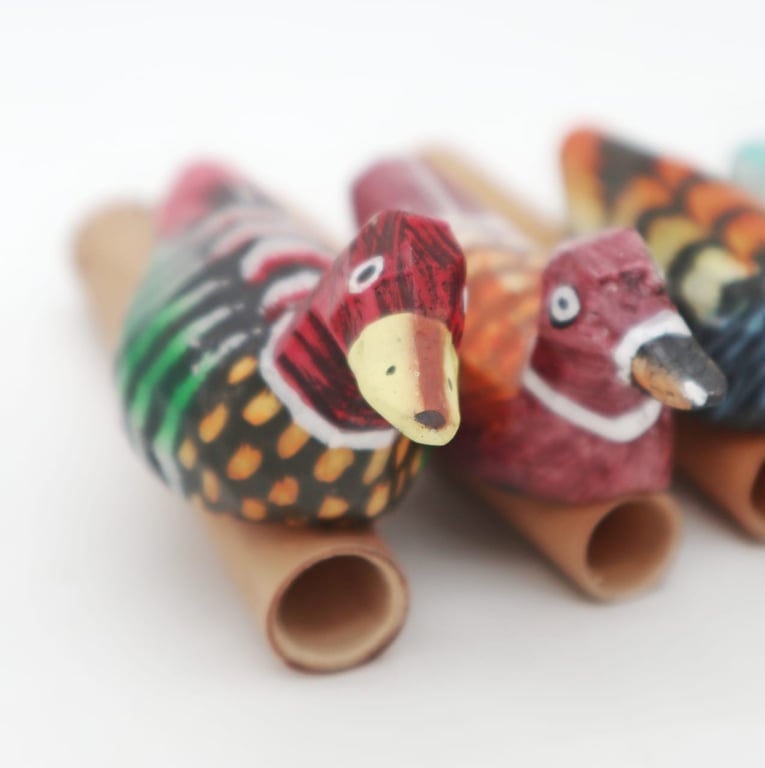Duck Whistle - Pet Toy for Outdoor Entertainment and Bird Whistles Sound Maker