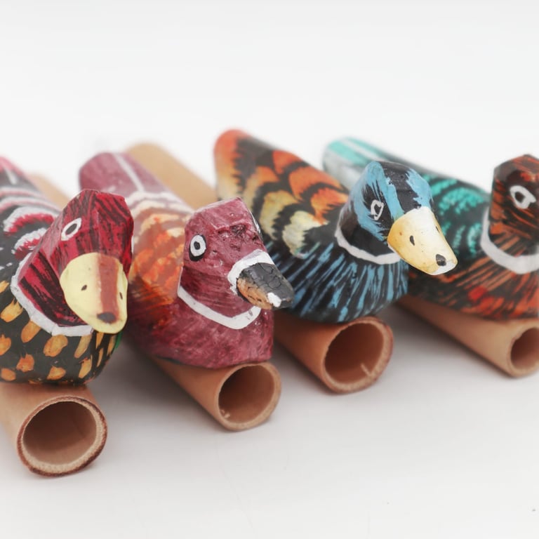 Duck Whistle - Pet Toy for Outdoor Entertainment and Bird Whistles Sound Maker