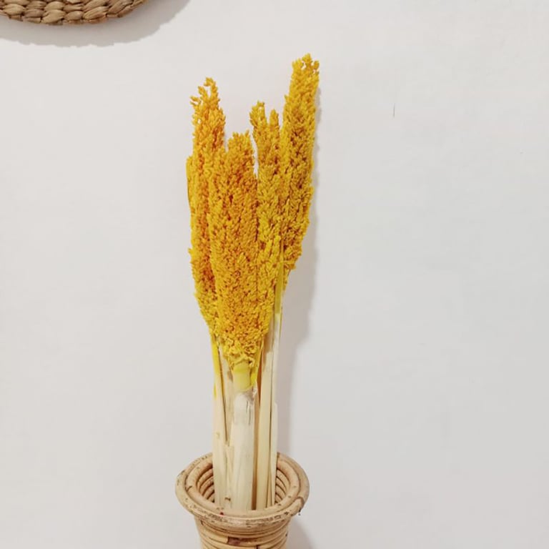 Organic Cantaloupe Grass Bunch - Amber Natural Dried Fruit Decor