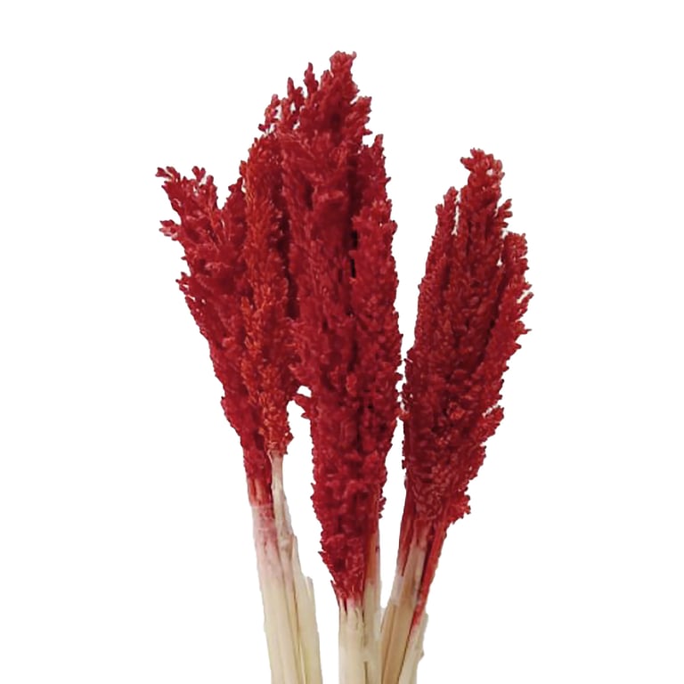 Cantal Grass Bunch - Fire Outdoor Decoration, Party and Holiday Decor