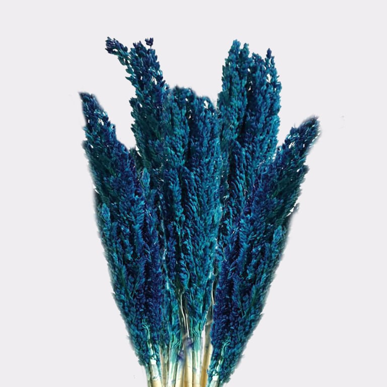 Organic Blue Cantaloupe Grass Bunch - Handcrafted Natural Decor