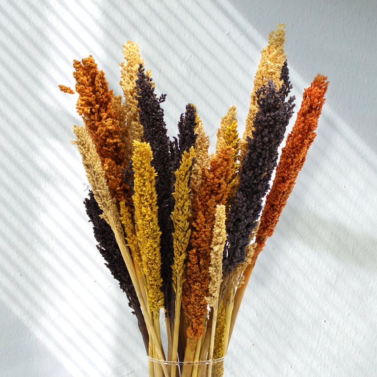 Cantal Grass Bunch - Black Natural Decor Accent